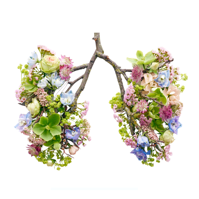 Ausbildung Atem, Pranayama und Breathwork in Wetzikon